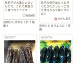 なすの保存方法。作り方3写真