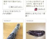 なすの保存方法。作り方4写真