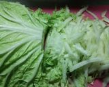 簡単☆白菜のサラダ☆話題入り作り方1写真