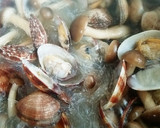 あさりの酒蒸しで春雨＊あさりの旨味♪作り方5写真