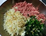 スタミナ満点羽つき肉餃子作り方3写真