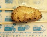キモカワ♡アコーディオンポテト作り方1写真