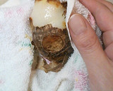 簡単　裏技痒くない里芋の剥き方作り方4写真