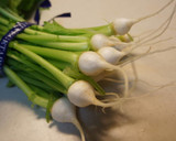 つまみ菜の蕪と茎の塩昆布和えをのせて作り方6写真