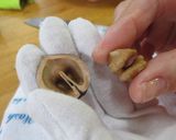 山くるみの割り方作り方6写真