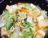 厚揚げと白菜の中華炒め作り方8写真
