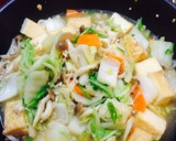 厚揚げと白菜の中華炒め作り方8写真