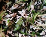 デパ地下風☆鶏ささみのひじきサラダ作り方7写真