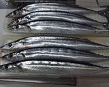 基本のおかず　骨までやわらか秋刀魚の煮物作り方1写真