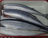 基本のおかず　骨までやわらか秋刀魚の煮物作り方2写真