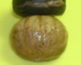 ♡秋のお菓子・栗の渋皮煮簡単パウンド♡作り方12写真