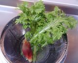 ＊鰹とわさび菜の大人丼＊作り方1写真