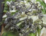 四角豆の和トースト♪作り方2写真