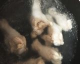 手羽元の味噌なべ〜^ ^作り方1写真