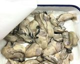 常備食*牡蠣のオリーブオイル漬け作り方3写真
