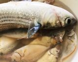 釣った魚が、ボラ作り方1写真