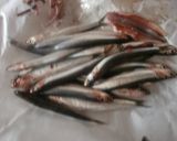 こいわしいっぱいのパスタ作り方1写真