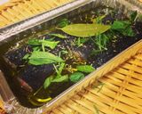 秋刀魚のコンフィ作り方4写真