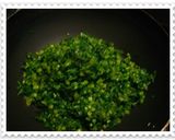 ご飯の友★大根葉のふりかけ♪作り方3写真