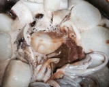 母直伝！濃厚で美味しい大根とイカの煮物作り方4写真