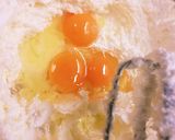 Nutella 巻き巻き クッキー作り方2写真