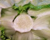 レタス大量消費！豚肉とレタスのピリ辛炒め作り方1写真