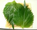 おつまみに♡はんぺんのタラシソチーズ焼き作り方2写真