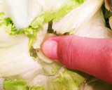 レタス大量消費！豚肉とレタスのピリ辛炒め作り方2写真
