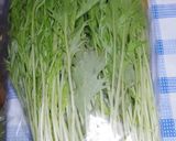 水菜を大量消費！簡単美味しい塩昆布和えだ作り方1写真