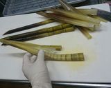 ばーちゃんぬか無しで簡単四万十竹湯がき方作り方10写真