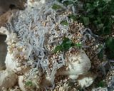 豆腐のお焼き作り方2写真