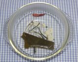 簡単発酵食品☆お漬物☆乾燥かぶで水キムチ作り方6写真