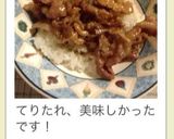 これは旨い!てりたれでボリューム豚丼作り方11写真
