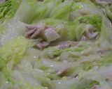 簡単　白菜と豚バラ肉の鍋！作り方3写真