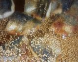 アジの蒲焼き風ゴマからめ作り方8写真