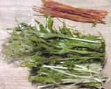 駄菓子で漬物・水菜とするめそーめんの漬物作り方1写真
