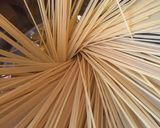 アヒージョ応用で簡単魚貝類パスタ♪作り方1写真