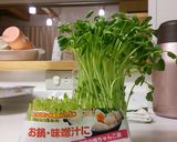 ニンニクたっぷり、鶏皮スープ。作り方7写真