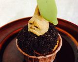 ハロウィン✴︎マンドレイクカップケーキ作り方19写真