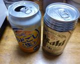 道の駅で見つけた がんね揚げ作り方2写真