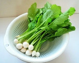 ご飯のおともに☆かぶ菜の浅漬け作り方1写真