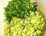 野菜たっぷり手作り餃子作り方1写真