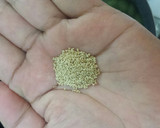 秋の味覚 丹波 黒豆 枝豆 で豆ごはん♪作り方5写真