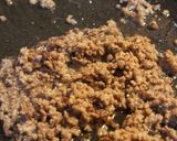 土鍋で作る、大根のミンチあんかけ作り方5写真