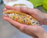おにぎりとささみフライ☆石垣島のオニササ作り方10写真