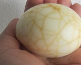 恐竜卵作り方4写真