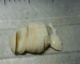 カリブ使用☆モチモチ炊き込みご飯作り方7写真