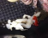 にくにくジャガジャガ丼作り方6写真