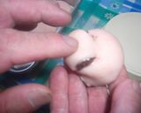おじぎまんじゅう(ありがとう)作り方9写真