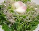 簡単~シャキシャキ水菜サラダ✿作り方4写真